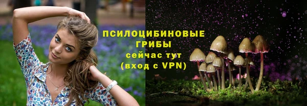 меф Алзамай